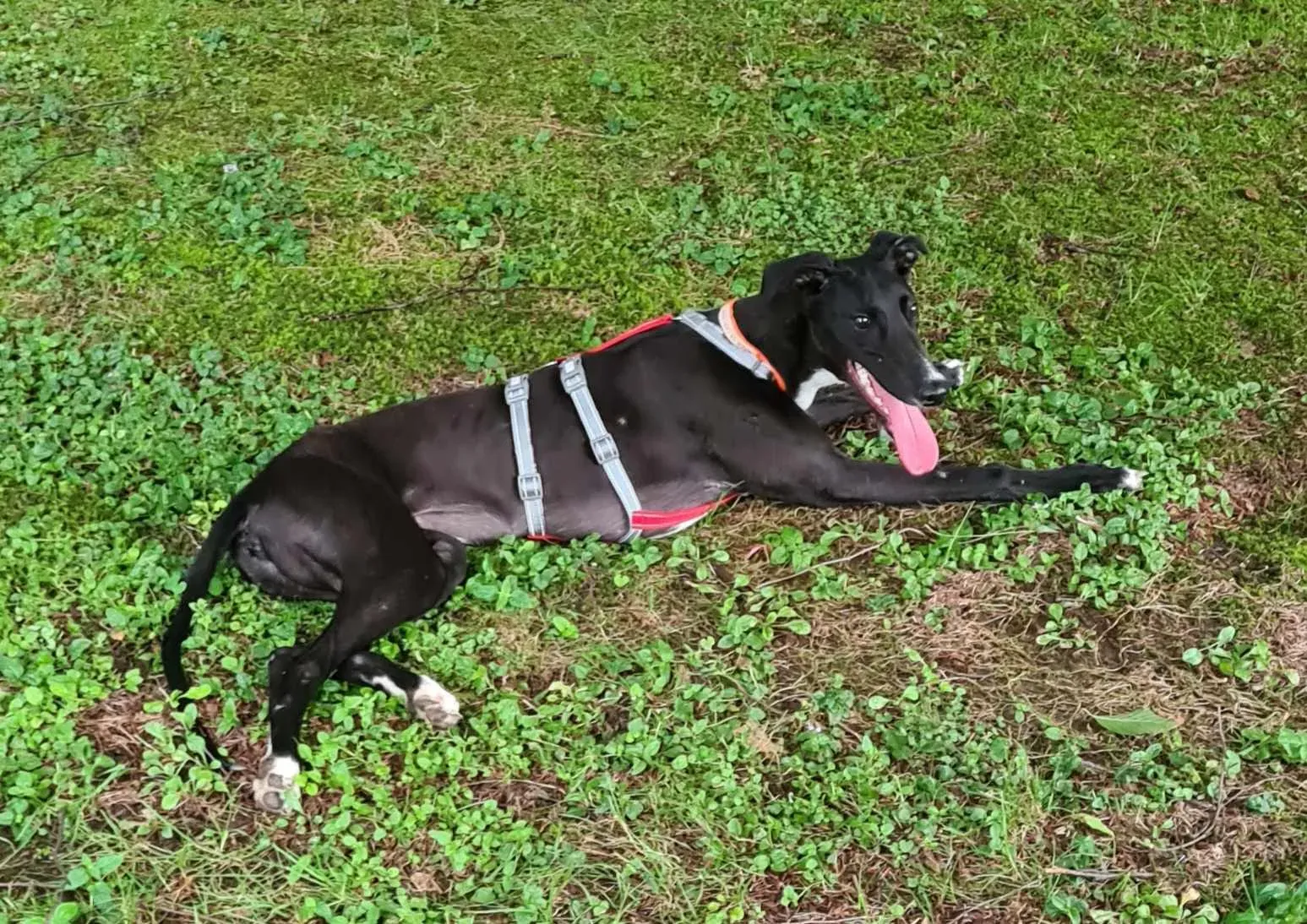 att.rogohmst1jjdxp0 js5phkicpr0r78  vpta7hiwuao