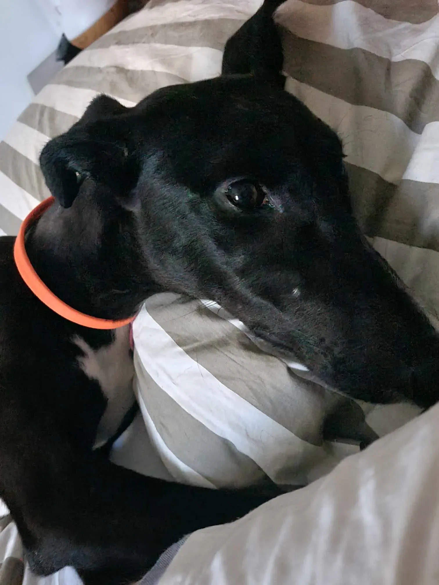 att.tufgjuls1isrbhsxjp rw  vejzuxriuyfyrsiwjhiq