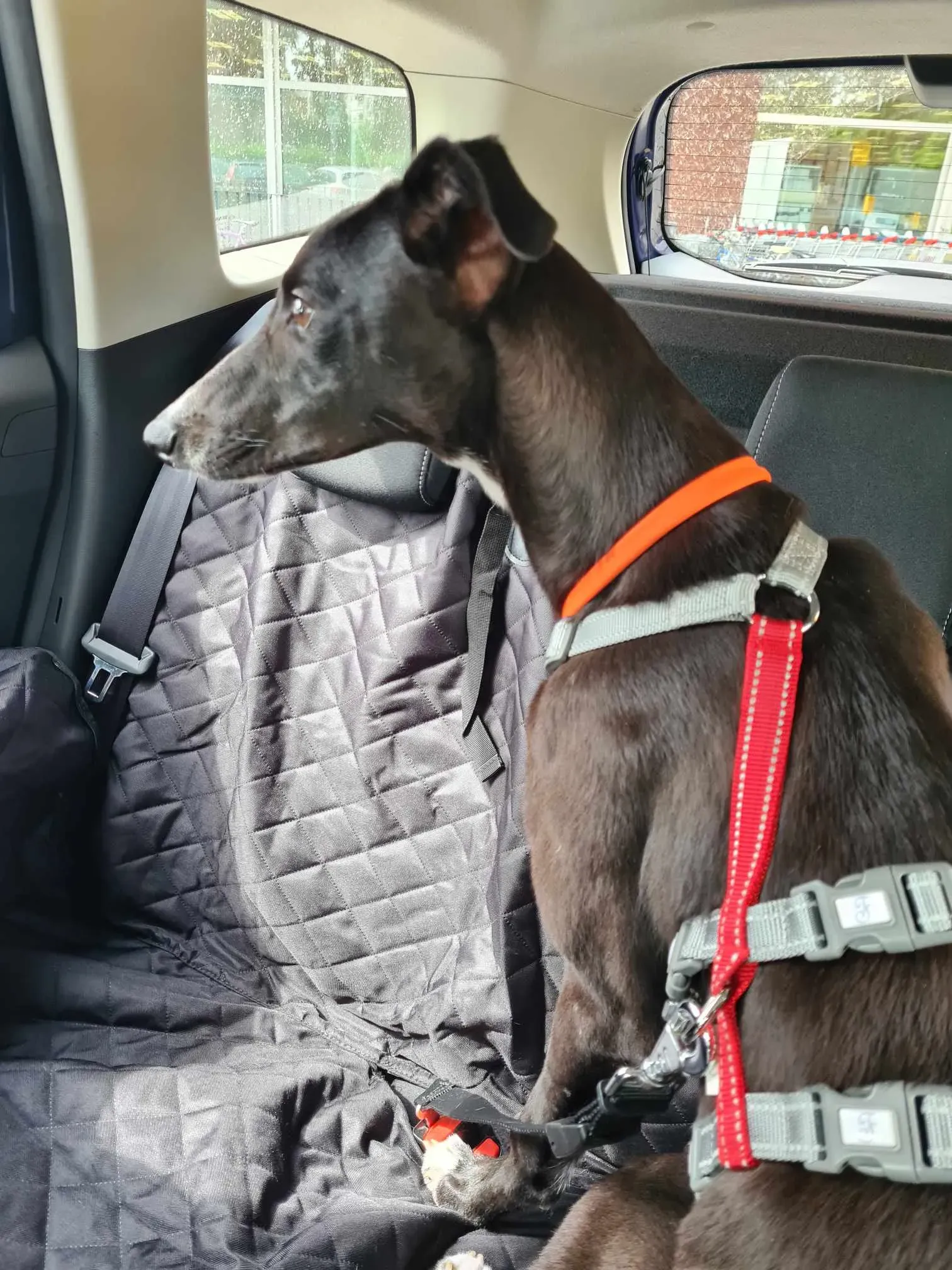 att.x2mussg1zv2 9f7cyh1xrxn0c6iwrpeauqouhztfshy