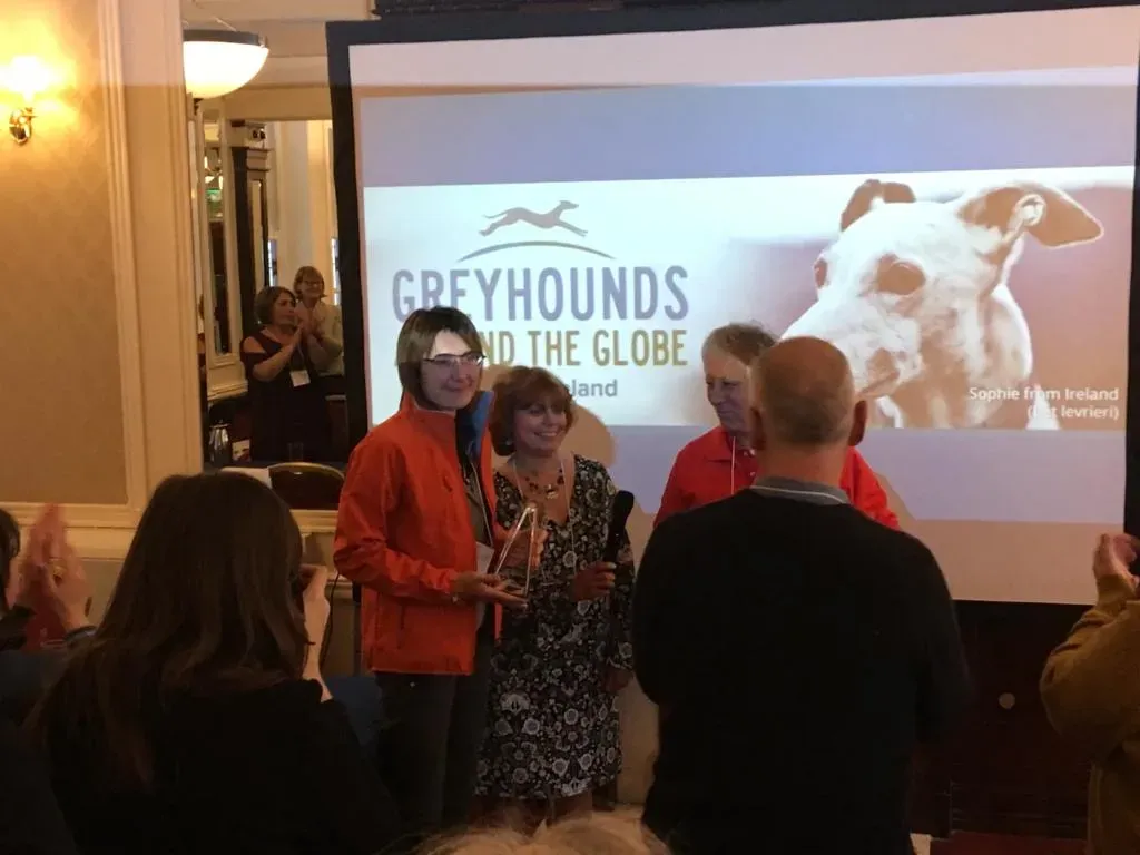 b3564b3e 62eb 4891 b49c 2a0da3c901f6