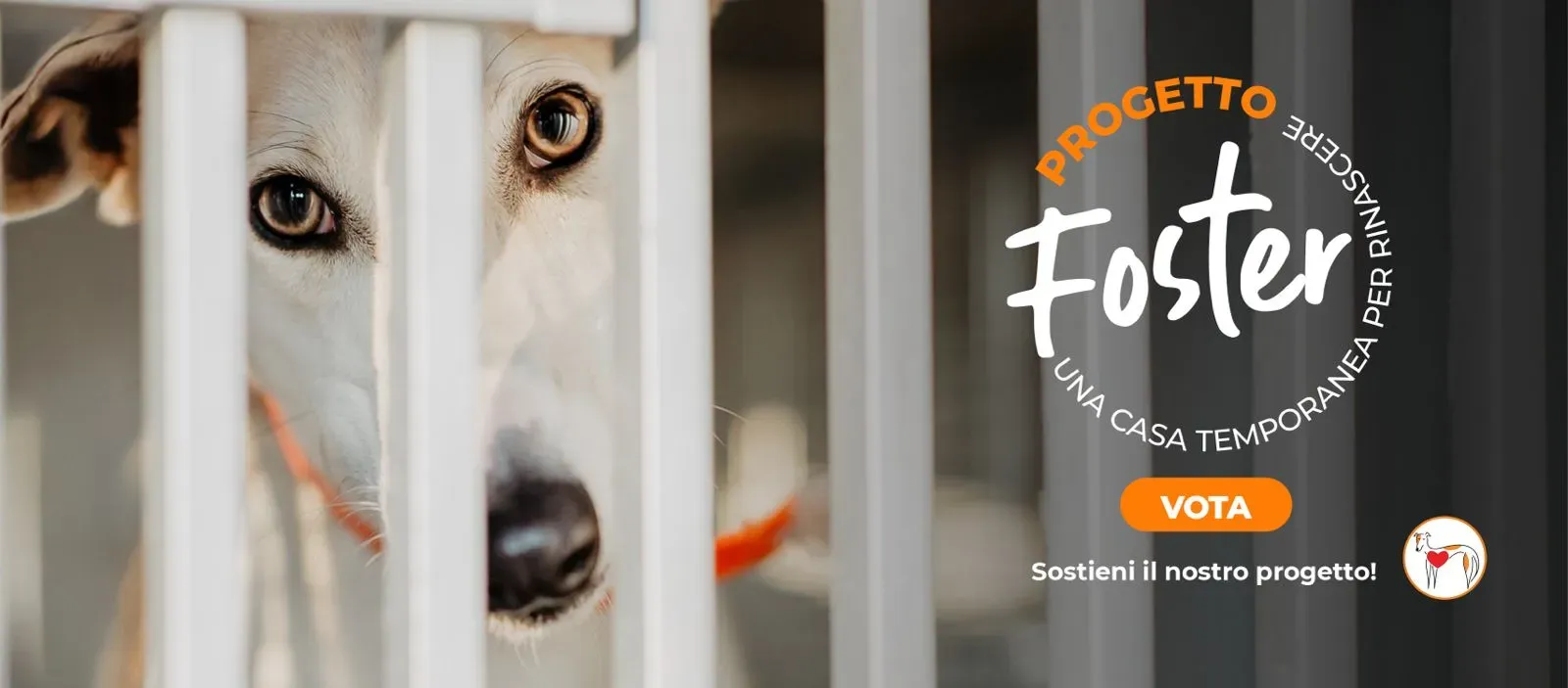 b4928bf8 ae08 44fa a6fd ef0bcab6cef9