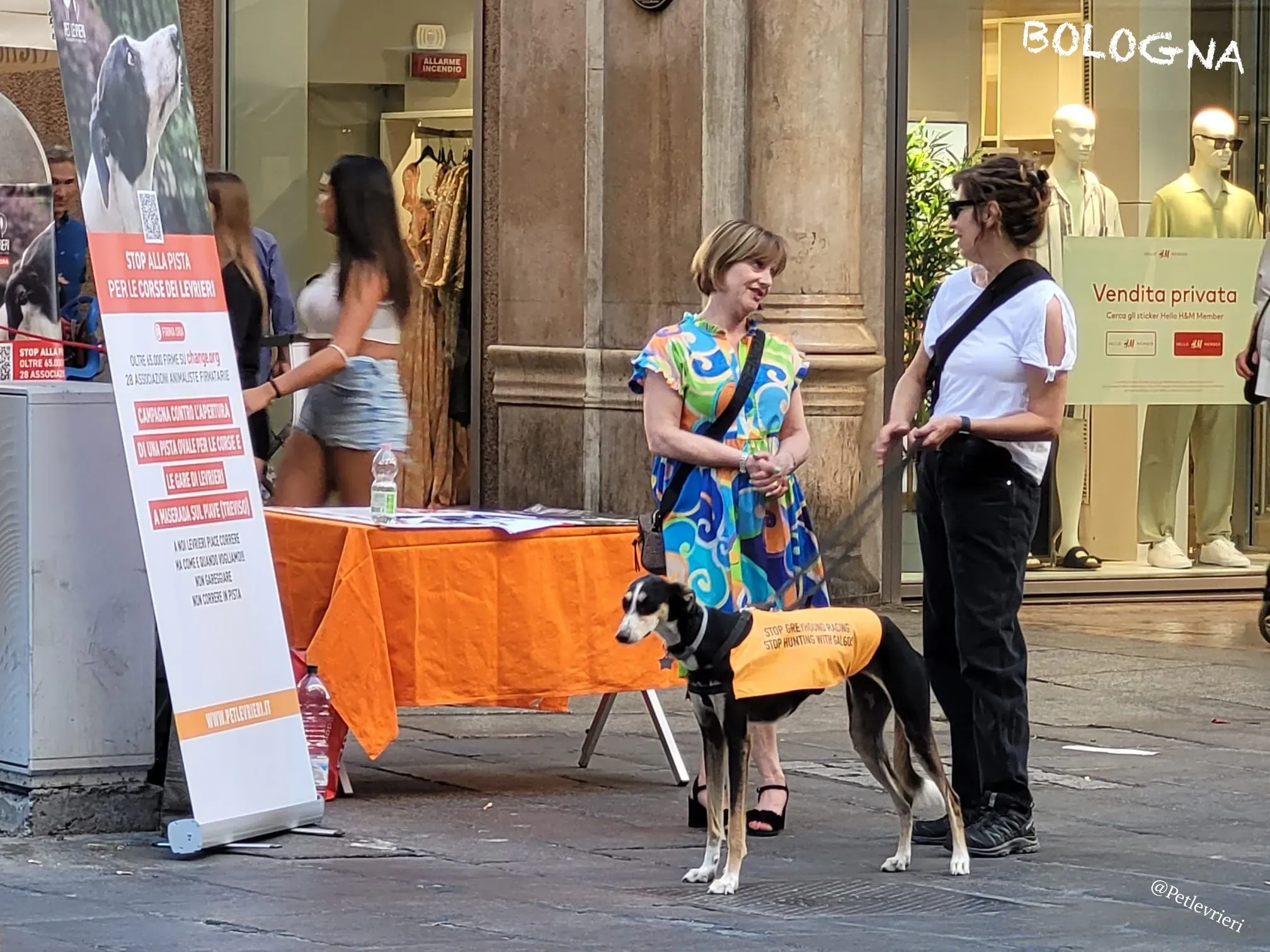 b61c776e 3f6a 48cb bb7d f7bf653d00d8 risultato