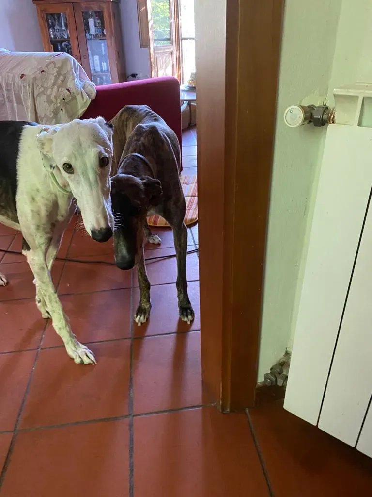 b6a46cd4 cb1b 4e96 a6c0 6c173fb54e96