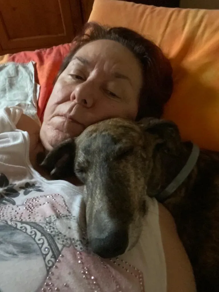 b813323f 86d4 471e b122 6637194c7bb8