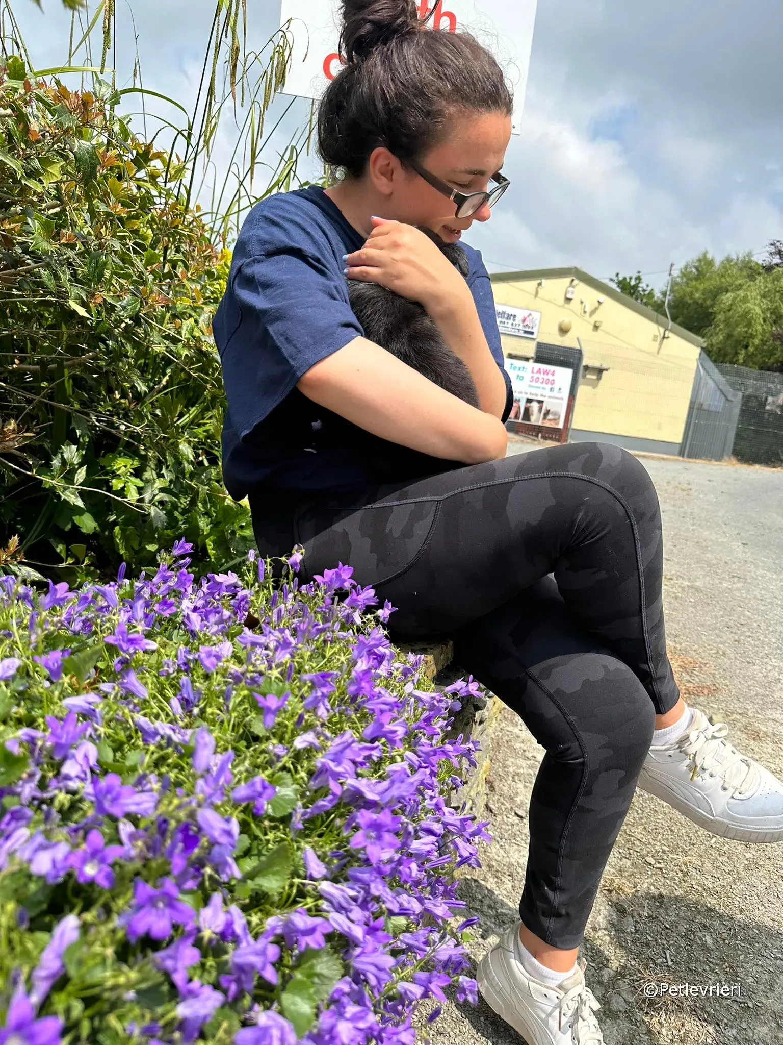 babe adozione greyhound petlevrieri 07