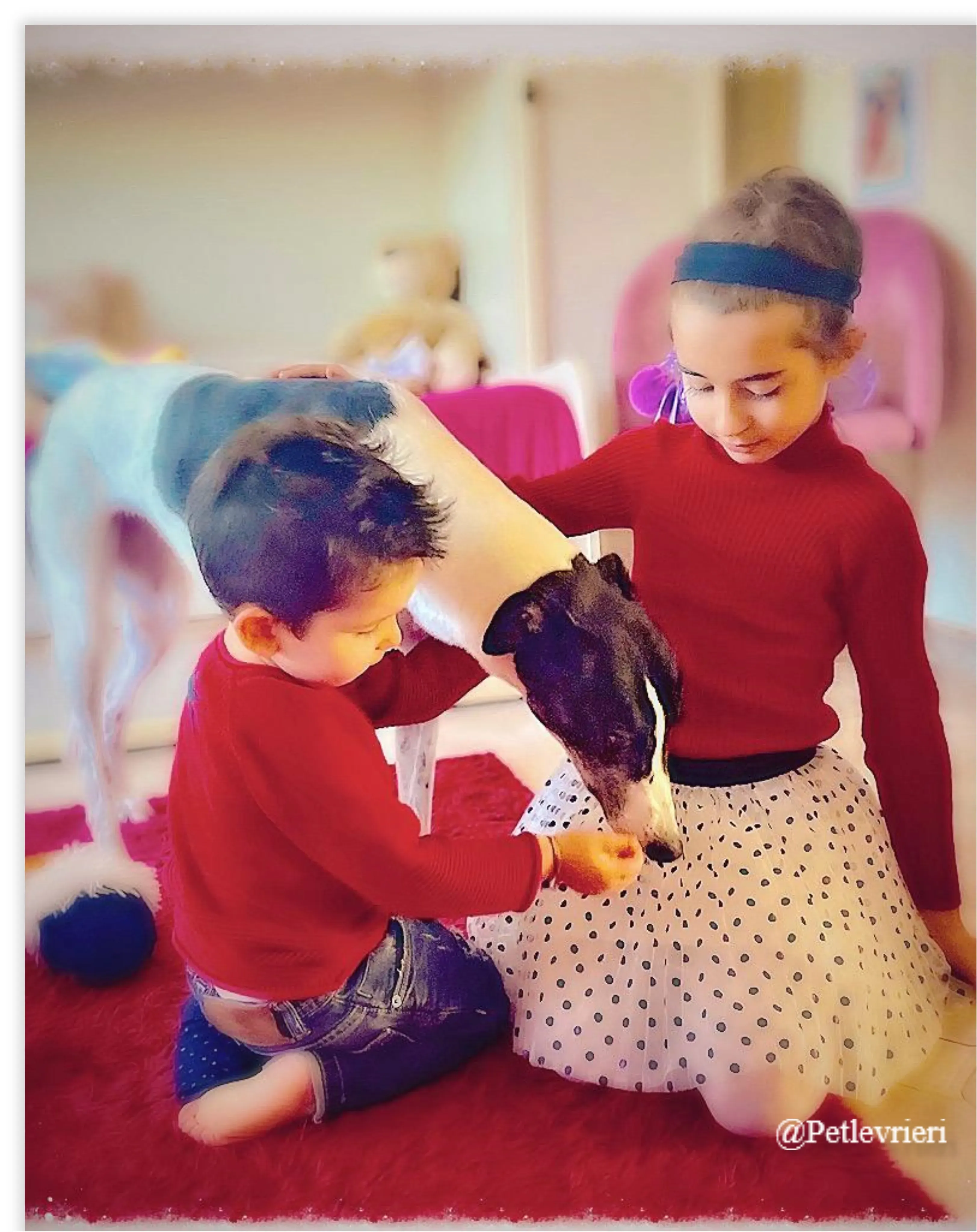 baileys pet levrieri natale 2021 4