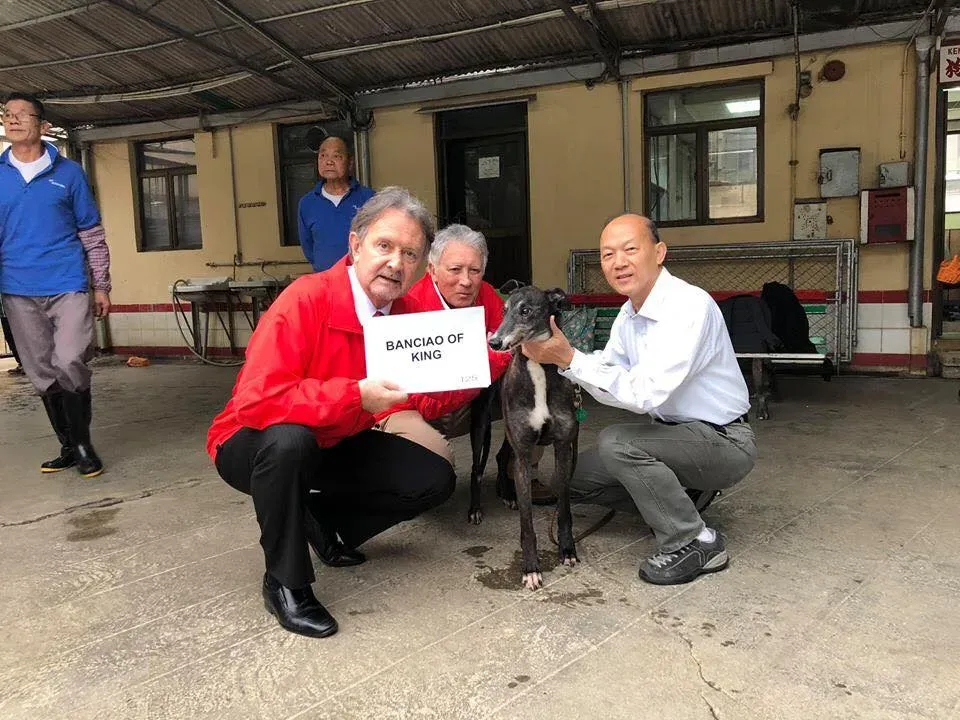 banciao of king partenza greyhound macao