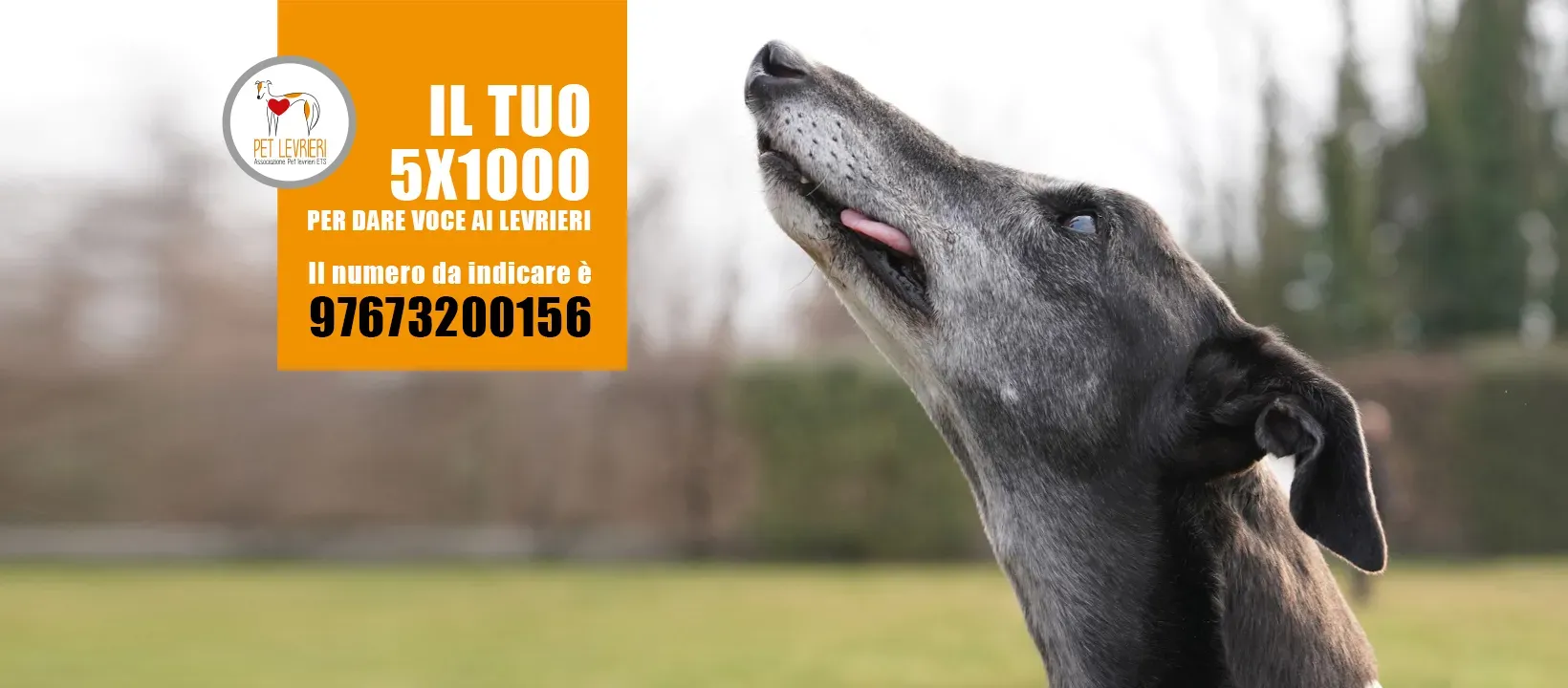 banner FACEBOOK 5x1000 2023