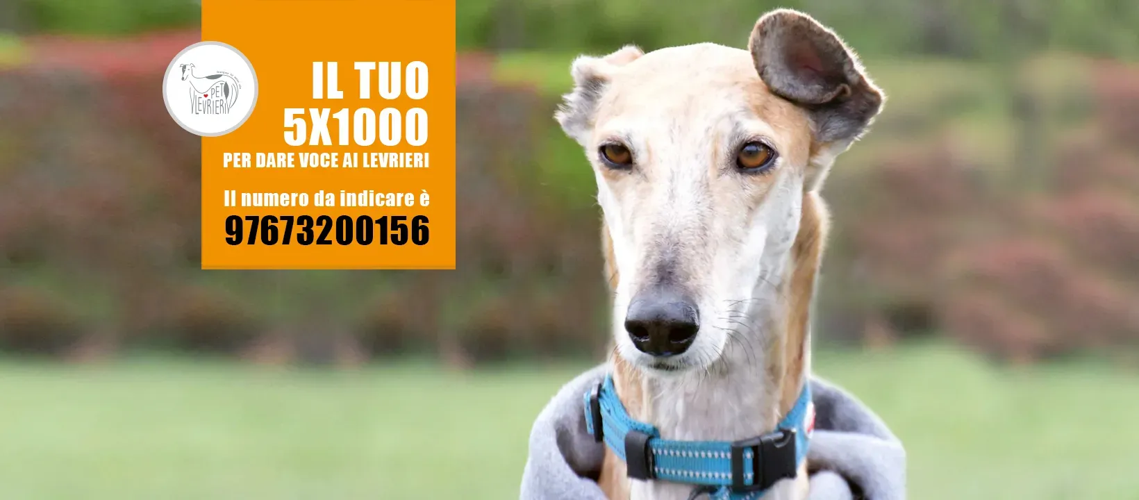 banner FACEBOOK 5x1000 02