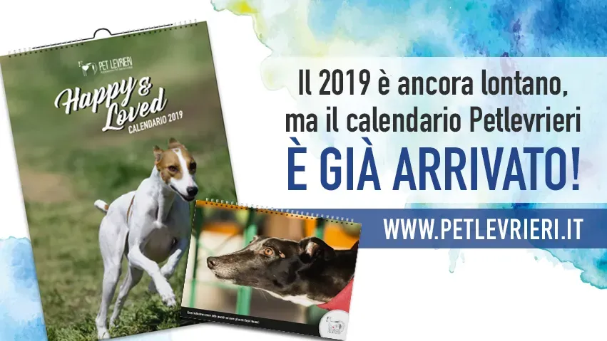 banner FACEBOOK calendario da parete