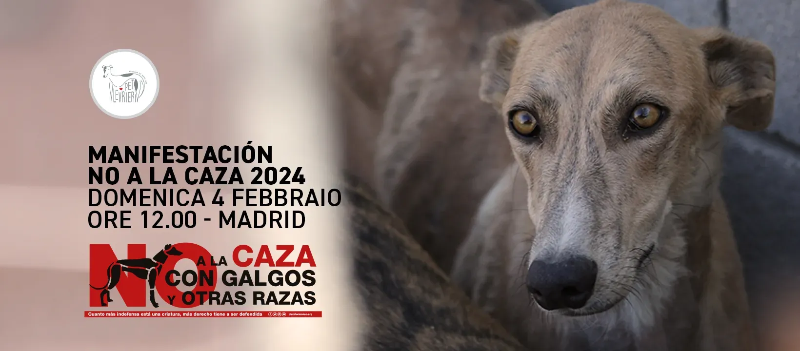 banner FACEBOOK manifestazione NAC madrid 2024
