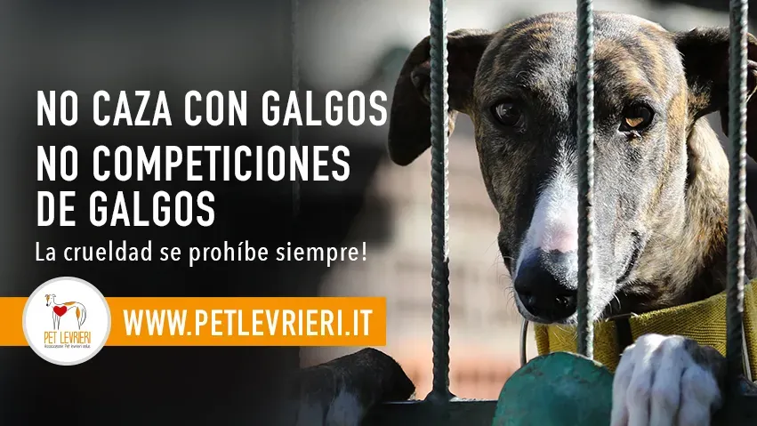 banner FACEBOOK manifestazione spagna 2019