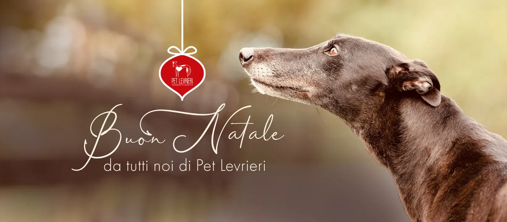 banner FACEBOOK natale 2023