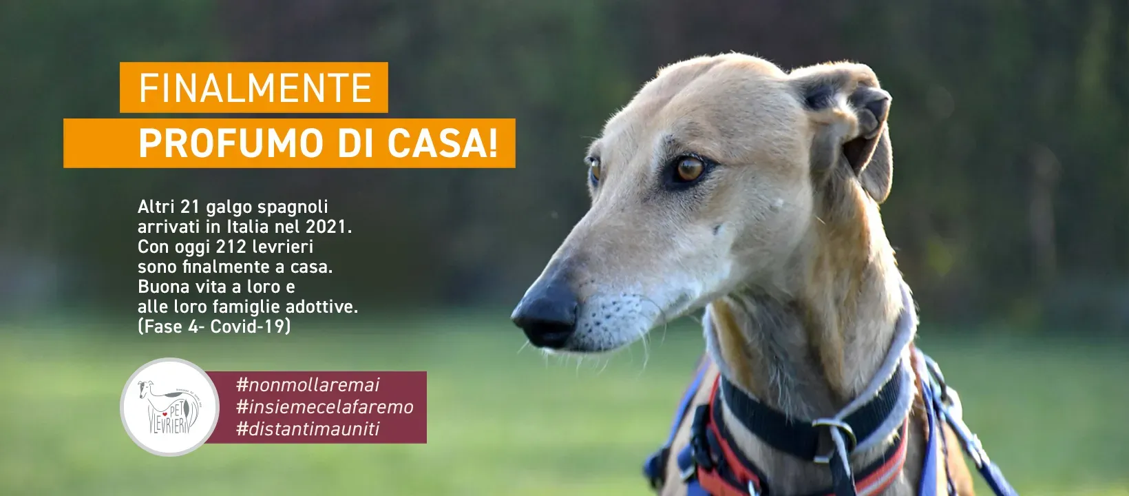 banner FACEBOOK profumo di casa GALGO 15 maggio 2021