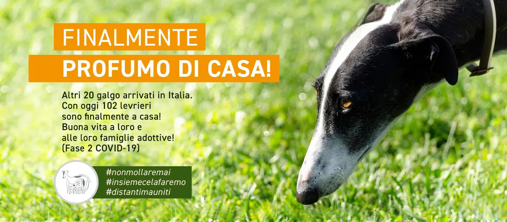 banner FACEBOOK profumo di casa GALGO