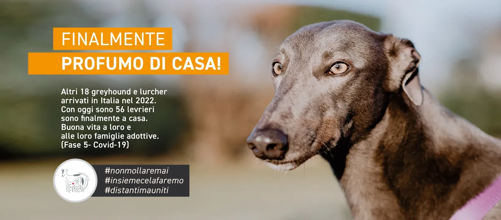 banner FACEBOOK profumo di casa GREY 5 marzo 2022