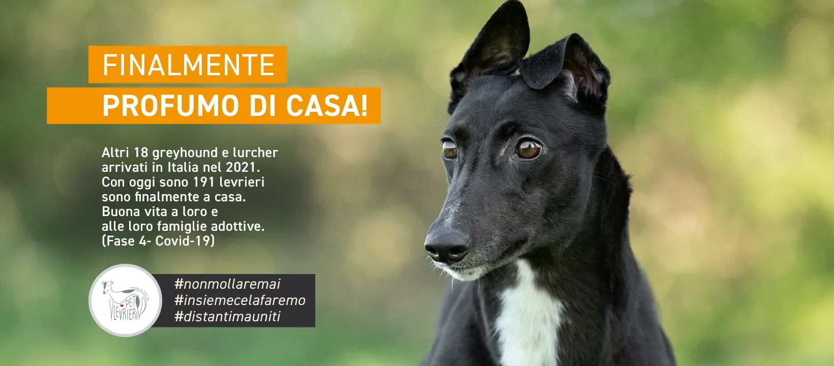 banner FACEBOOK profumo di casa GREY 8 maggio 2021