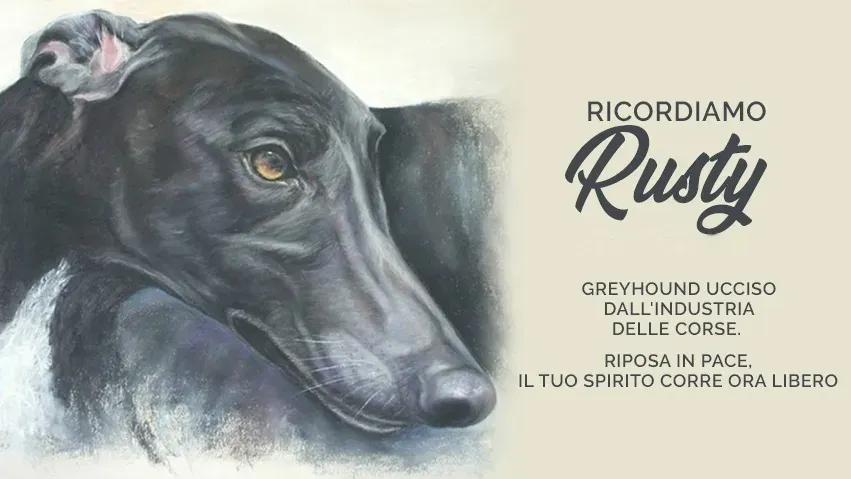 banner FACEBOOK rusty