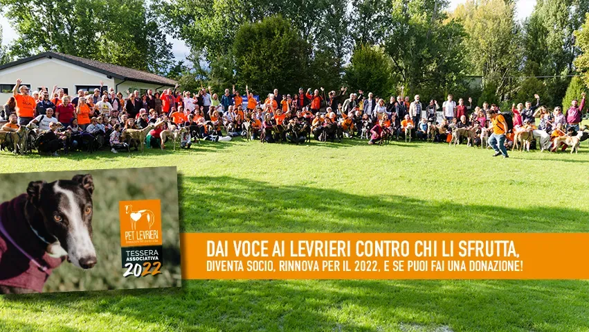 banner FACEBOOK tessera associativa 2022