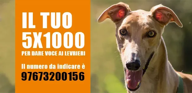 banner SITO 5x1000 2018