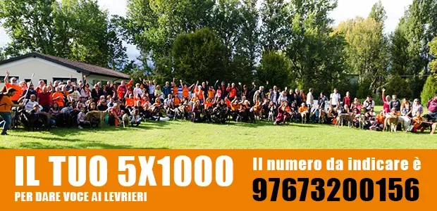 banner SITO 5x1000 2020