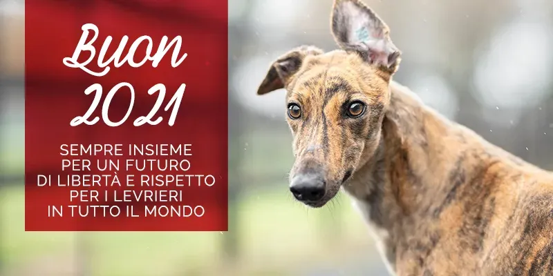 banner SITO anno 2021