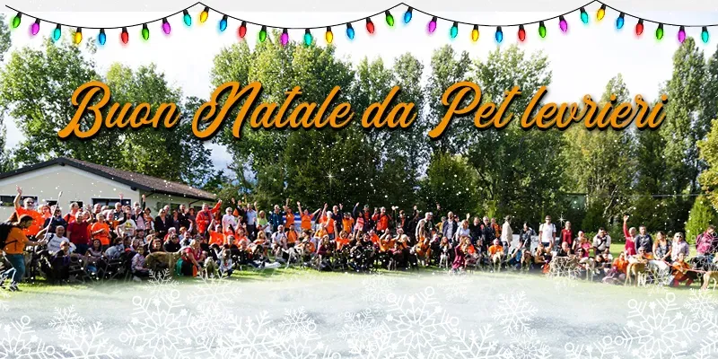 banner SITO natale 2019 02