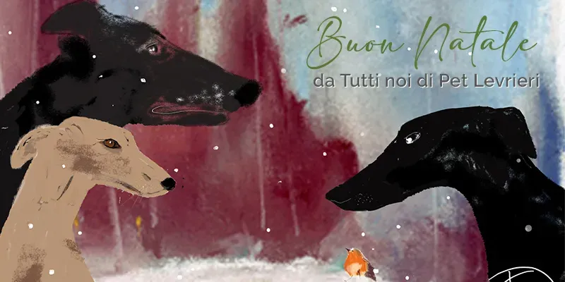 banner SITO natale 2020