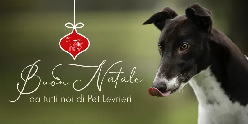 banner SITO natale 2022