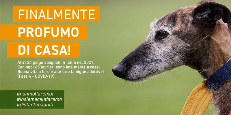 banner SITO profumo di casa GALGO aprile 2021