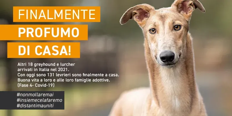 banner SITO profumo di casa GREY aprile 2021