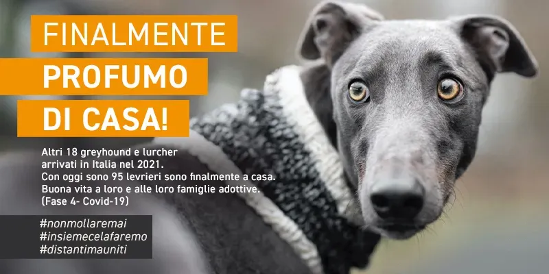 banner SITO profumo di casa GREY marzo 2021