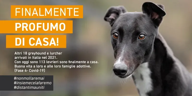 banner SITO profumo di casa GREY marzo 2021 02
