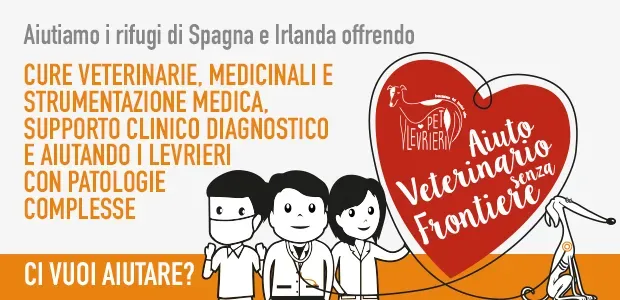 banner SITO progetto veterinario