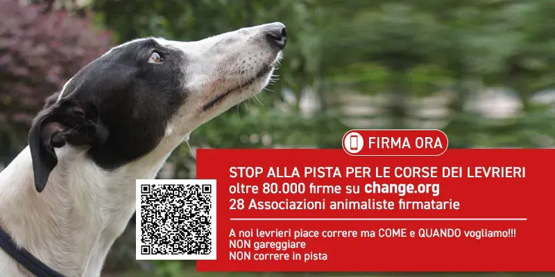 banner SITO stop alle piste 2022 02