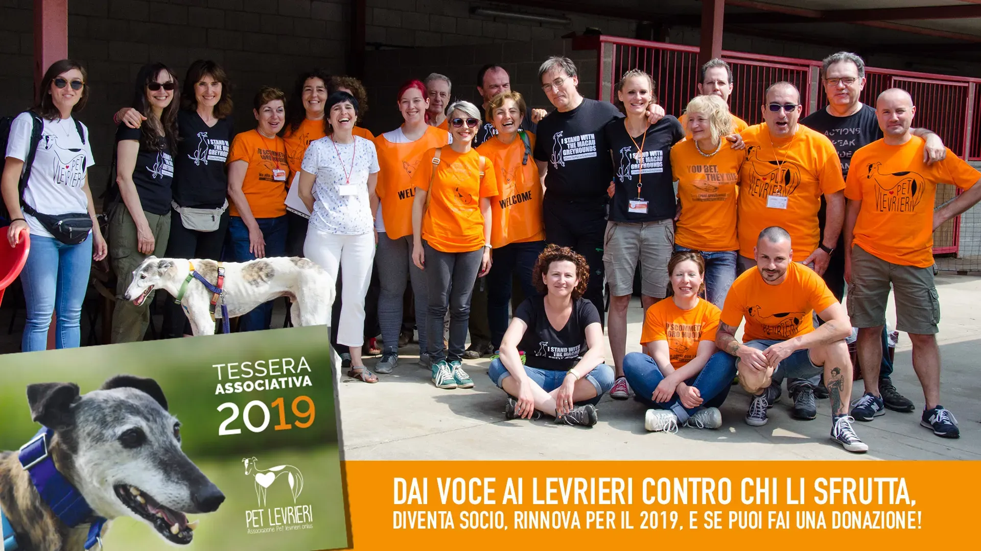 banner SITO tessera associativa 2019