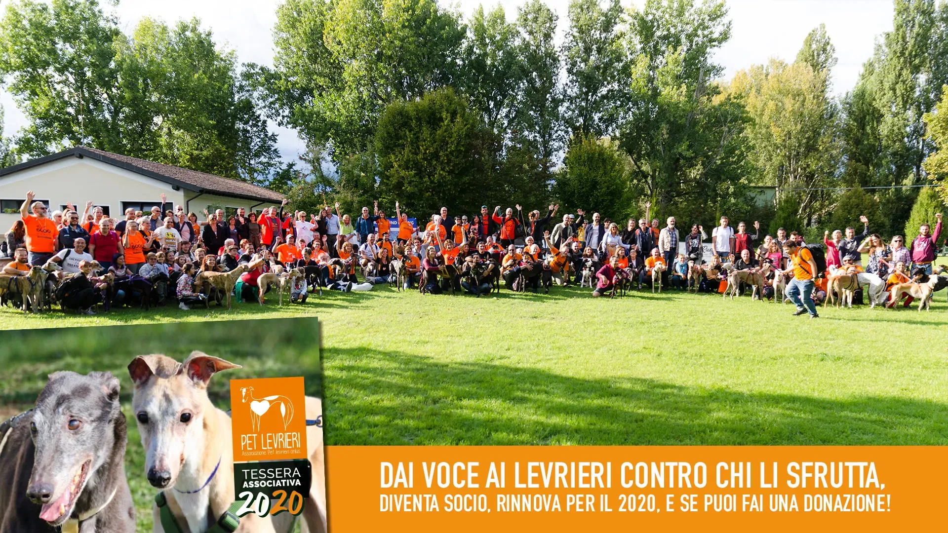 banner SITO tessera associativa 2020