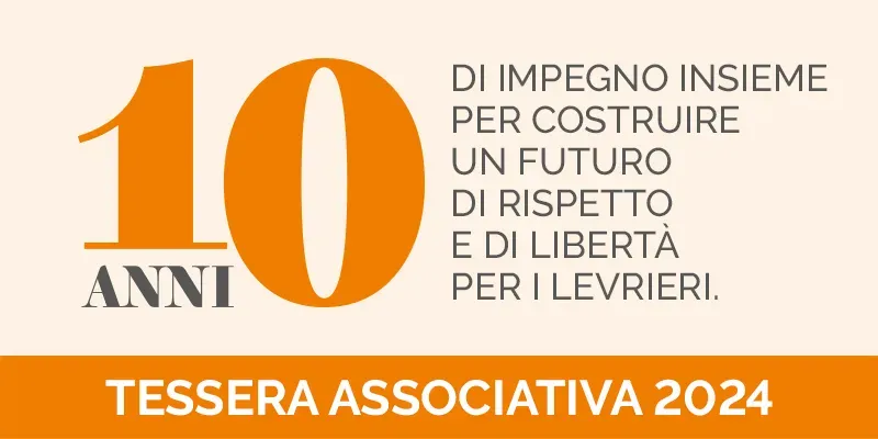 banner SITO tessera associativa 2024