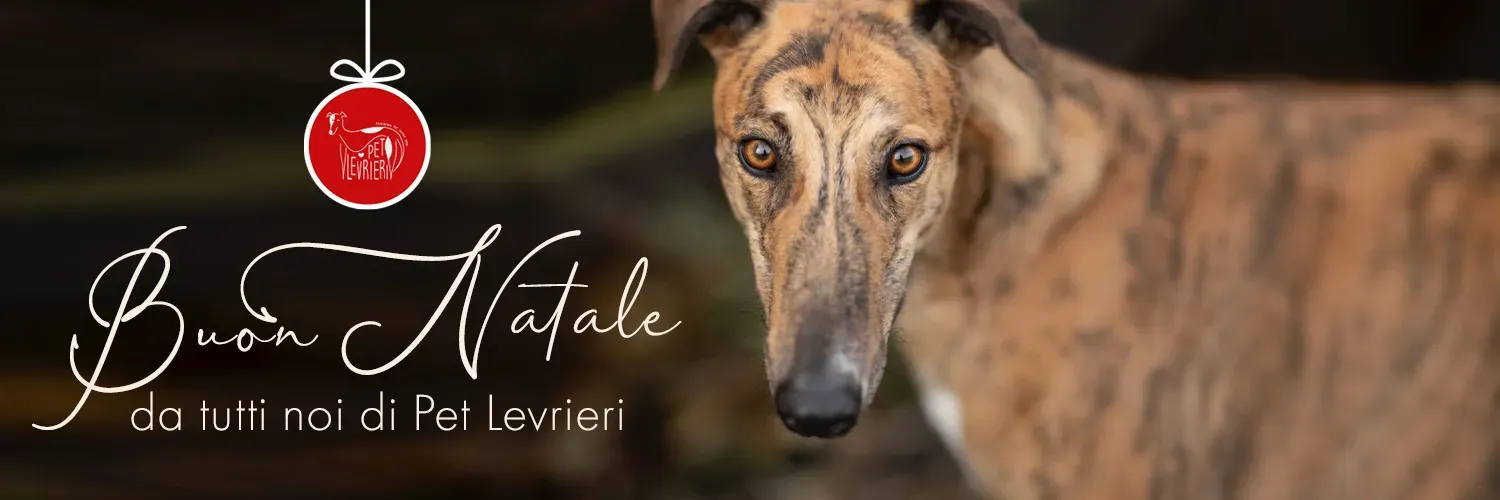 banner TWITTER natale 2021