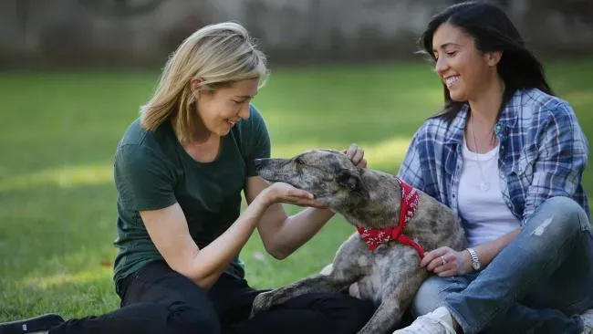 be668e849d76a8f0859bffc47f2ce64a