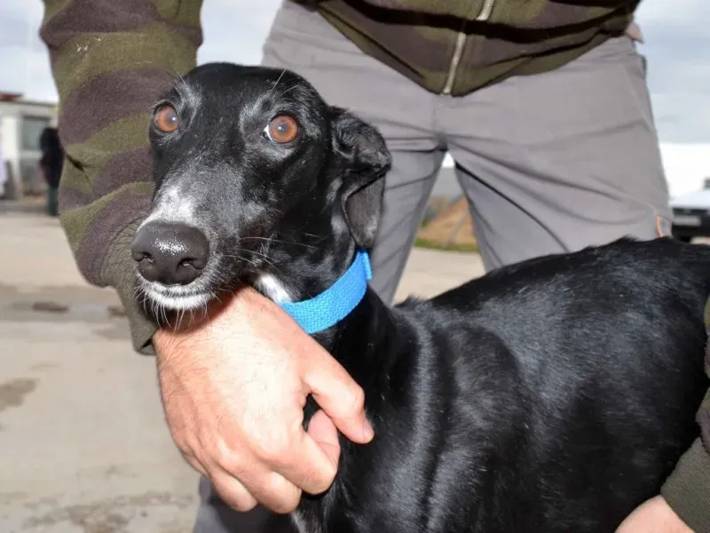 beauty2 e1385759227175