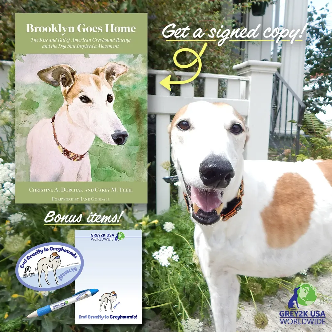 bgh signed copy and add on meme