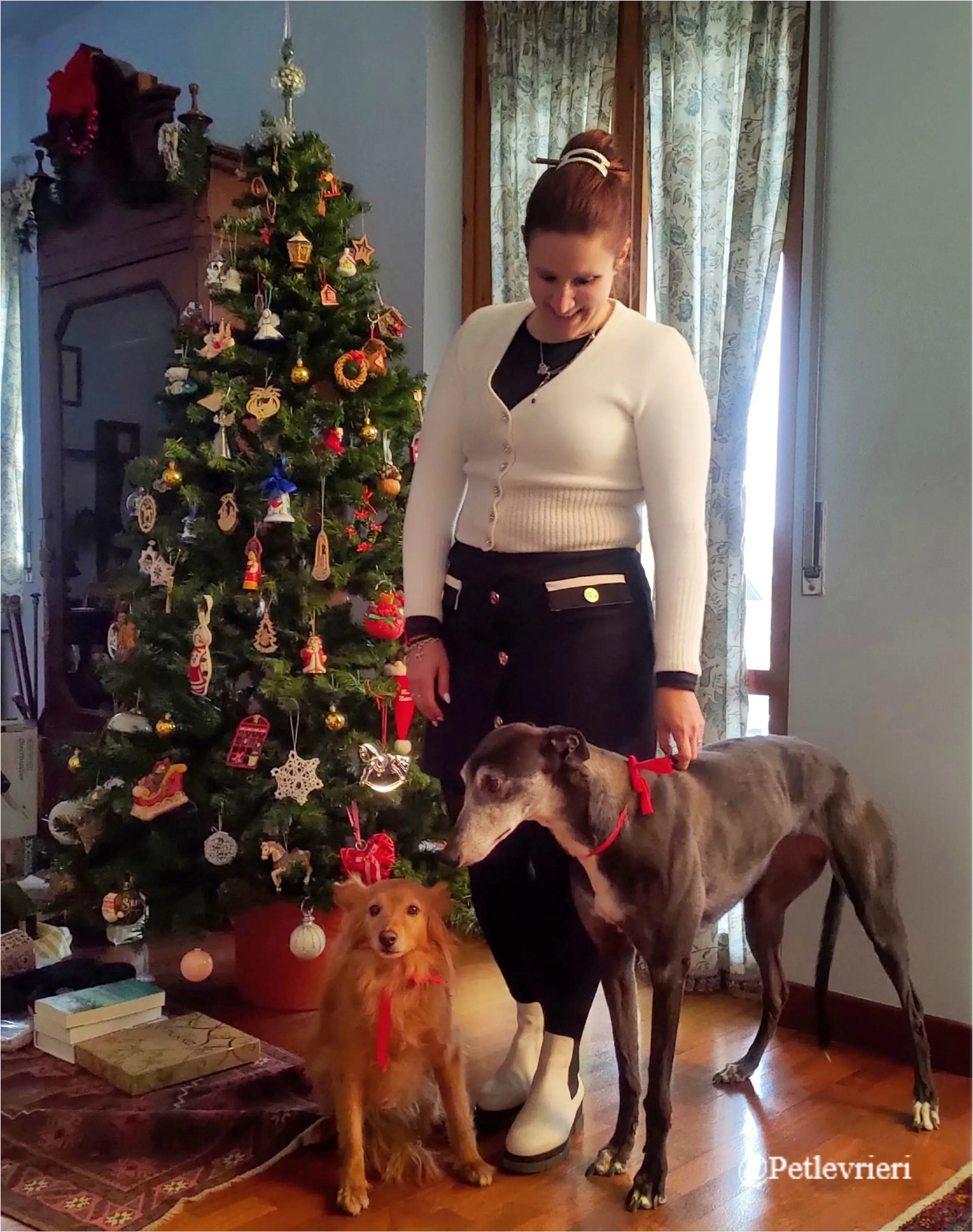 biddy pet levrieri natale 2021 1