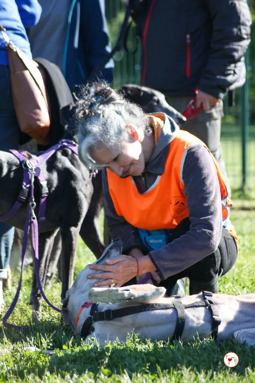 brid arrivogrey20aprile2024 153 large