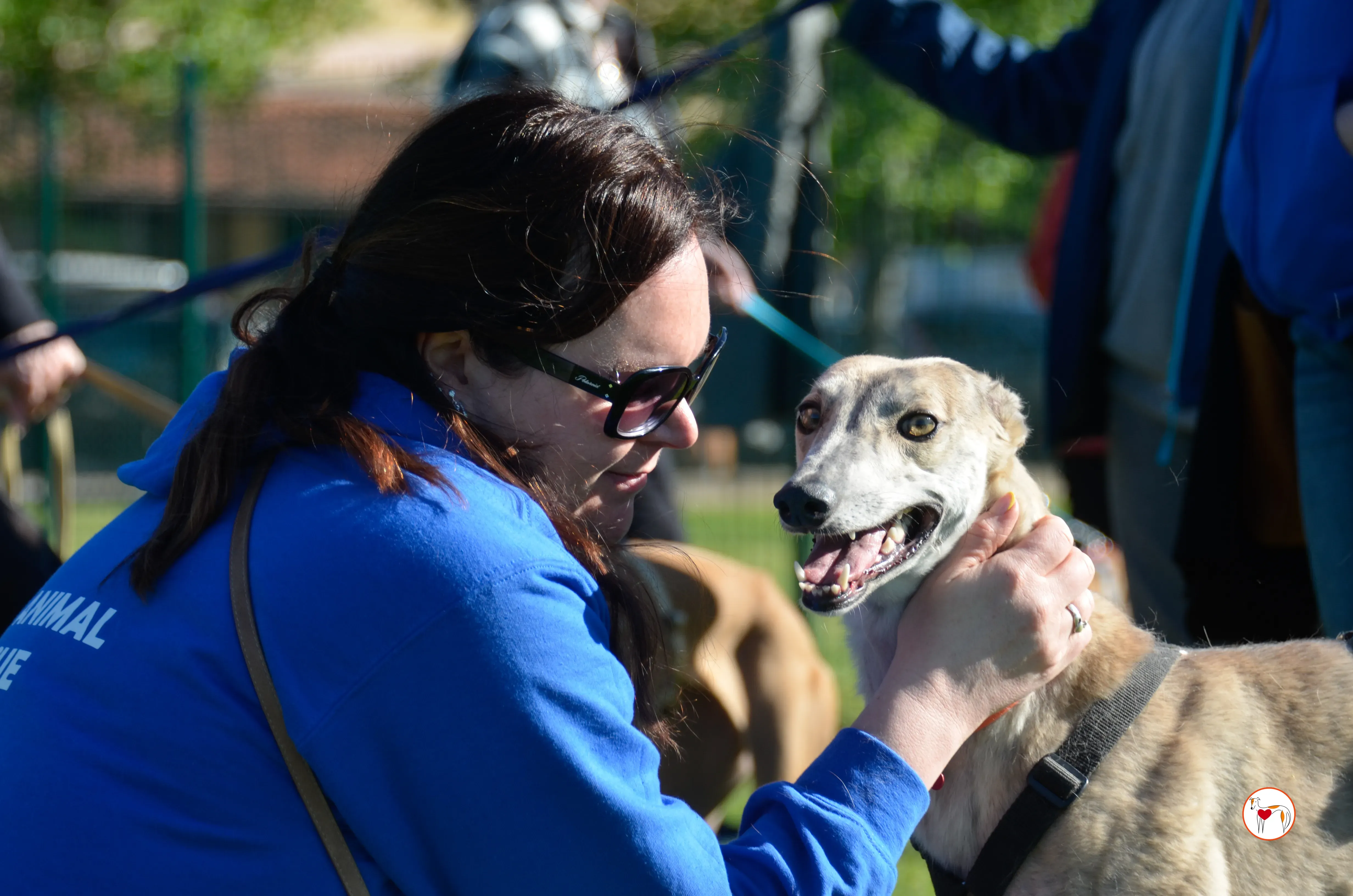 brid arrivogrey20aprile2024 355