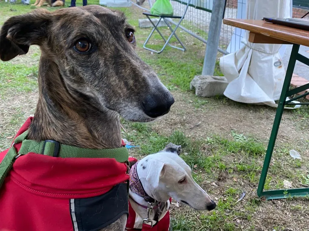 c2f0cdf9 c504 40b1 9b1b 6dc16603be13