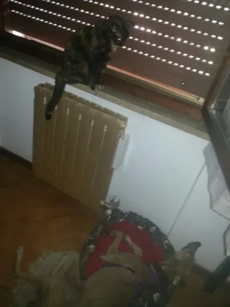 c5ffc38f8d859279750bbb0c2634492b