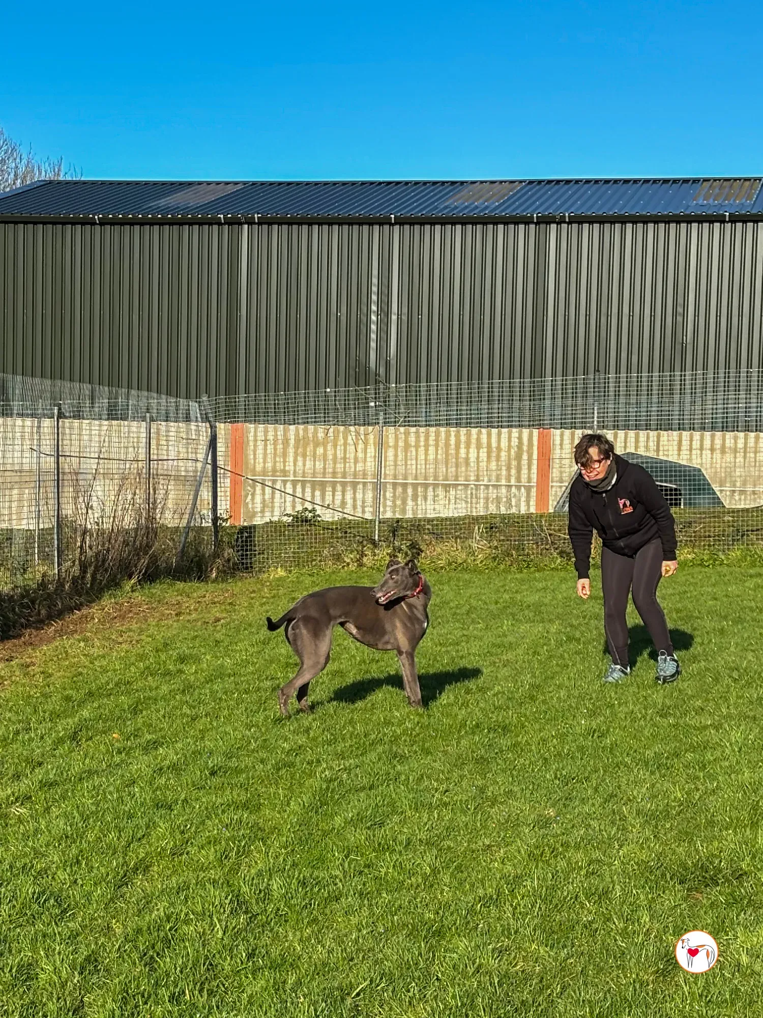 cabrini ora abbie grey adozione 1