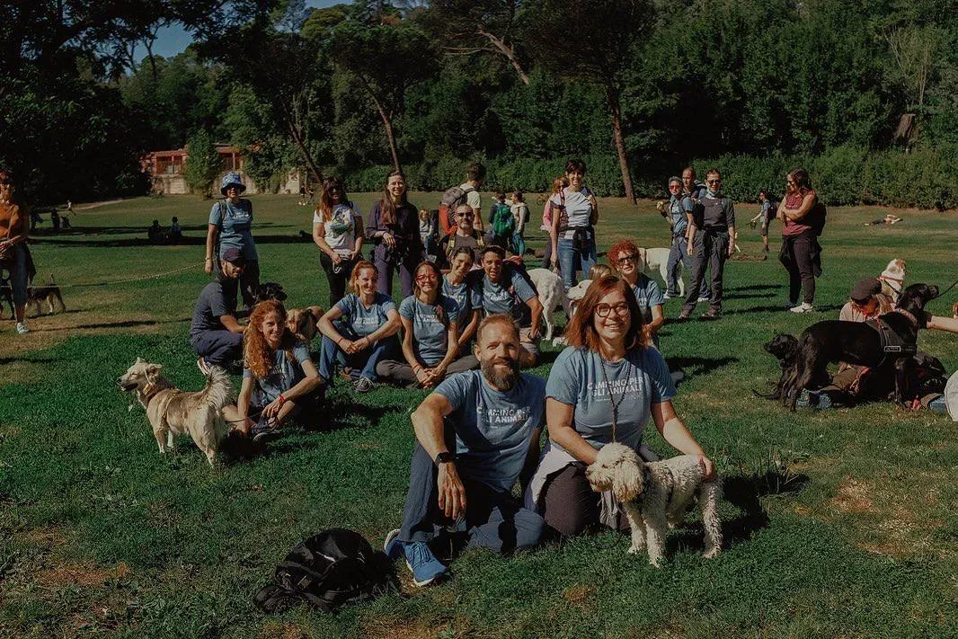 camminoperglianimali foto di federica cavicchi 2