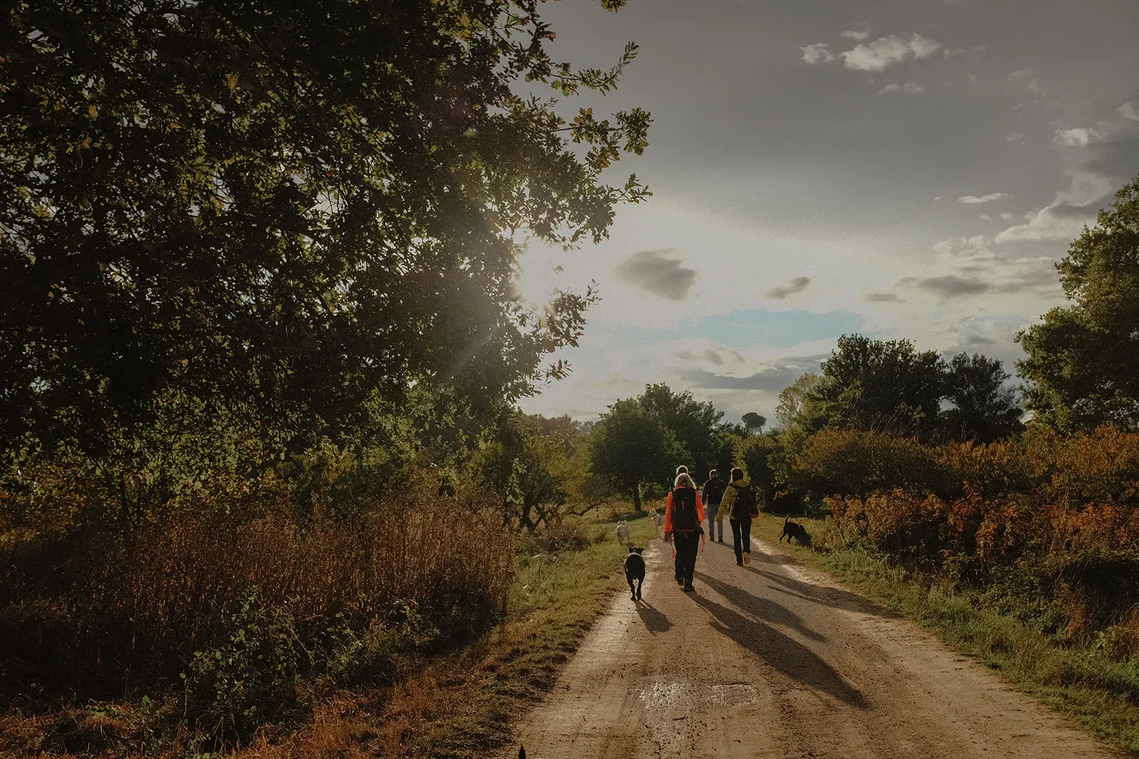 camminoperglianimali foto di federica cavicchi 6